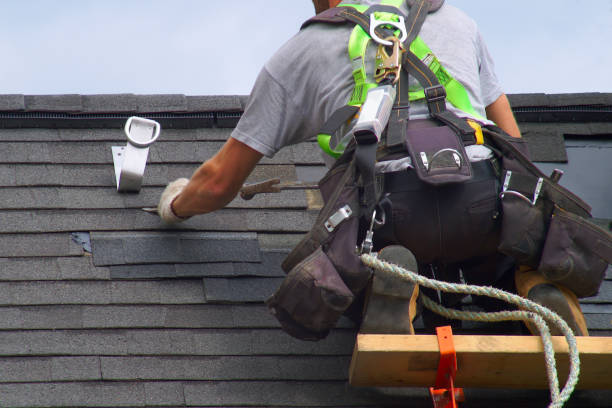 Best Gutter Installation and Repair  in Blennerhassett, WV